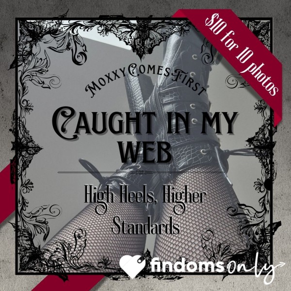 Caught In My Web 🕸️