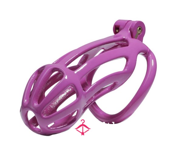 Chastity Contract