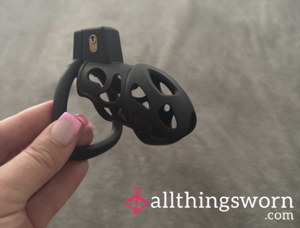 Chastity Device Rental