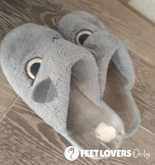 Chaussons Odorants Et Sales