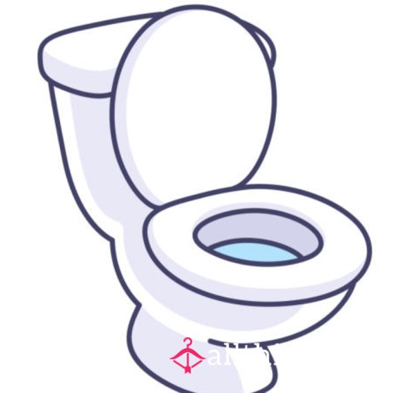 Chaz's Choco Toilet Content