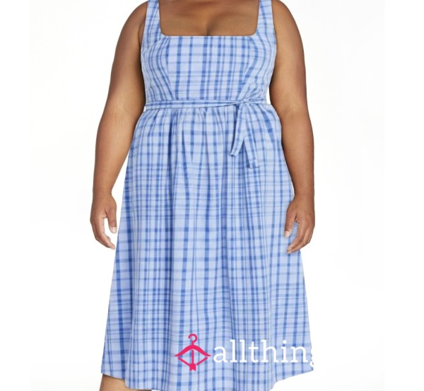 Checkered/plaid Blue Dress
