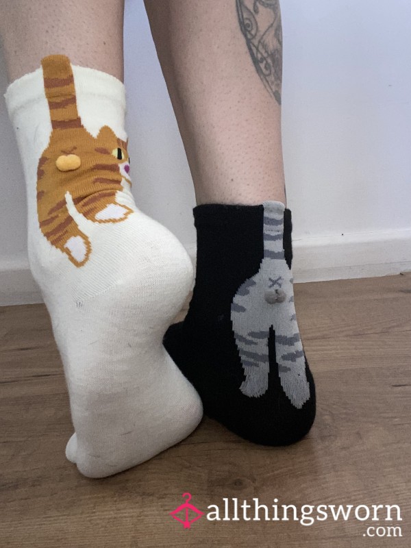 Cheeky Cat Balls… 😏
