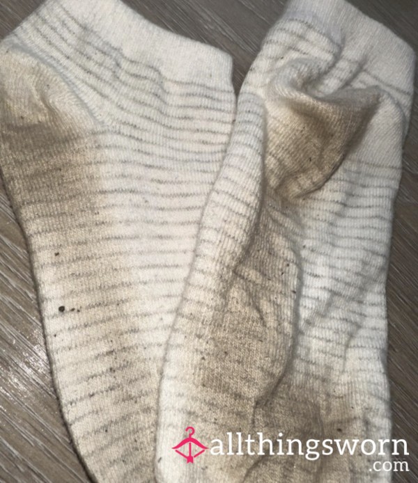 Cheesy Socks, Bagged & Ready To Go🫵🏻