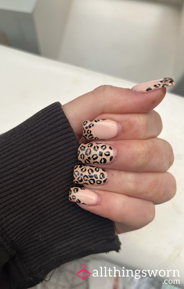 Cheetah Print Nails