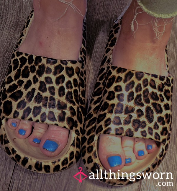 Cheetah Slides Well Worn