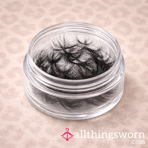 Cherry’s Shed Lash Extensions - 1 Months Worth