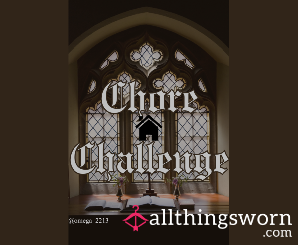 Chore Challenge – Get Your Household In Order And Pay Me For It