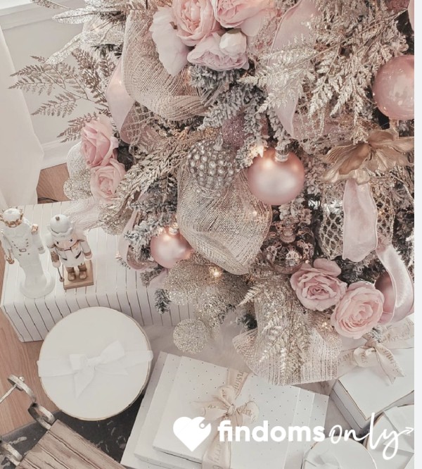 Christmas Fund