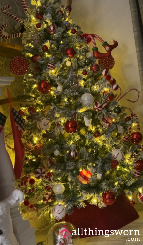 Christmas Fund🎄🎄