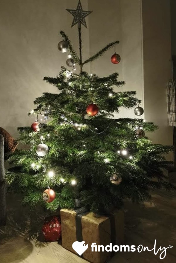 Christmas Is Coming 🎄