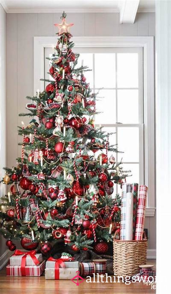 Christmas Tips Welcomed 🌲