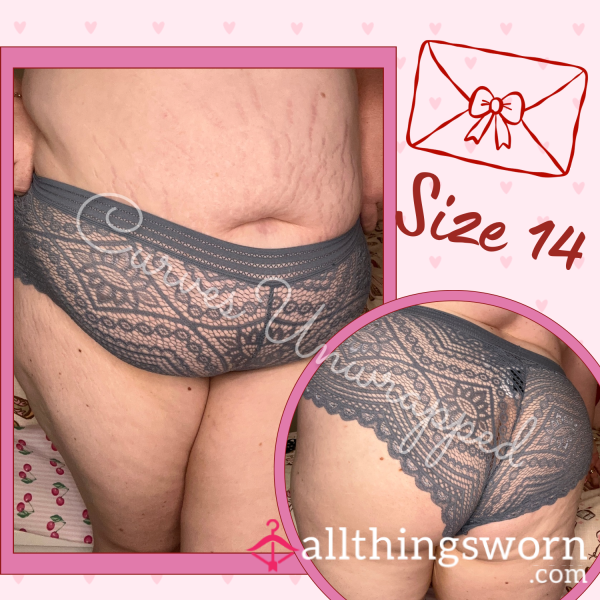 🩶 City Chic Grey Lace Cheeky Briefs ~ Size 14 Soft Curves & Feminine Lace 😘