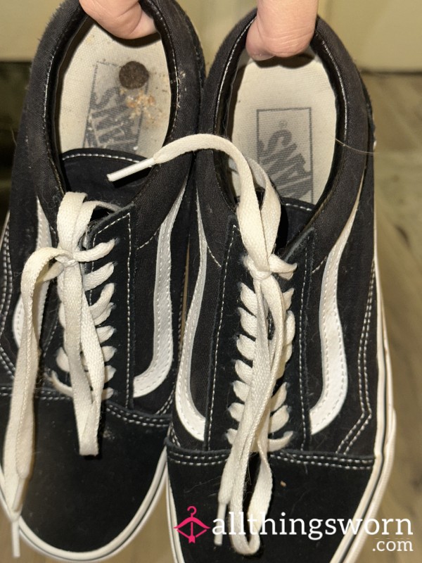 Clean My Vans 🐶😵‍💫