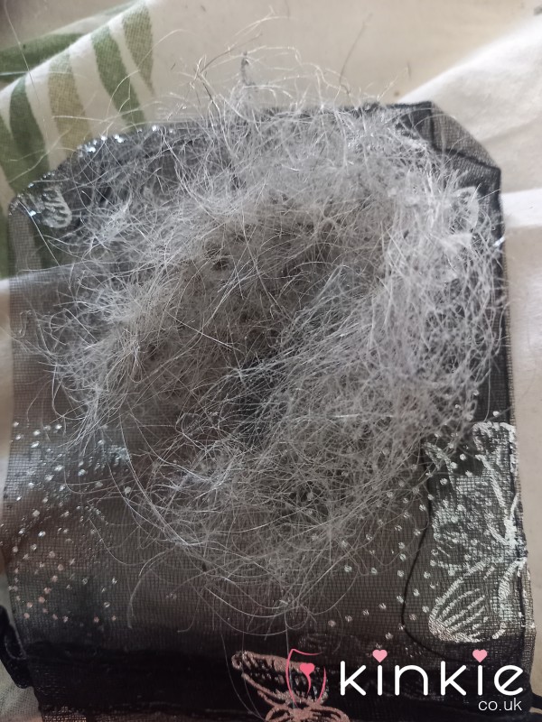 Cleaned My Brush 🤪