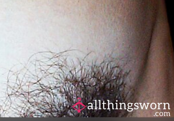 Clippings From My ‘regions’