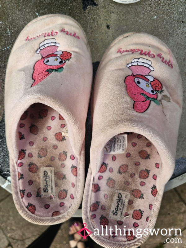 Closed Toe Stinky Slippers