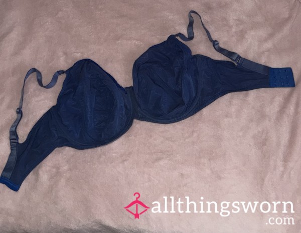 Cobalt Blue Bra 💙