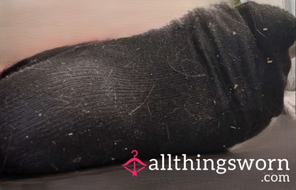 Black, Soft… And Someone Out There Definitely Enjoys This View.