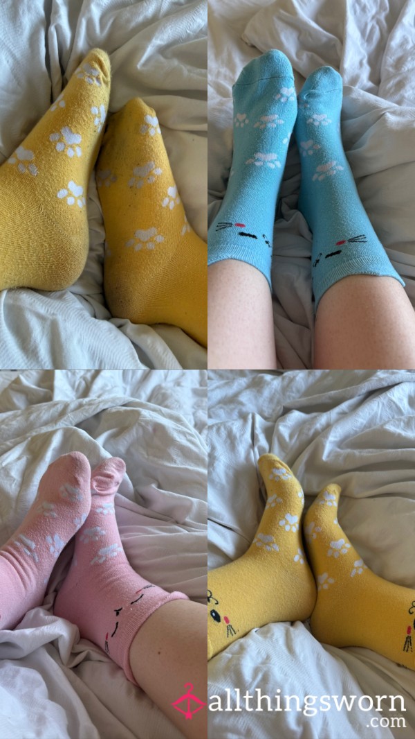 Colourful Pu**y Cat Socks😋