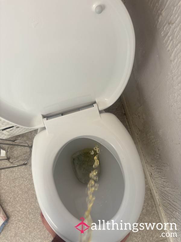 Come Watch My Pi*s And C*m Video Into The Toilet 10 Minute Long