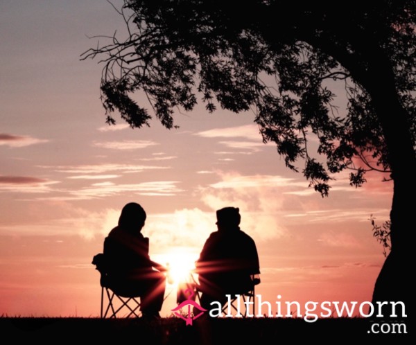 Companionship, Where Attention Feels Like Affection