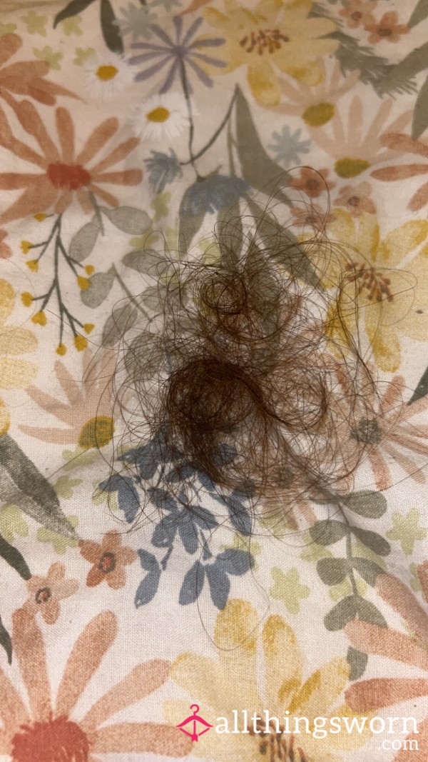 Contents Of My Hairbrush