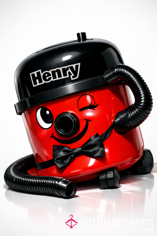 Contents Of My Henry Hoover