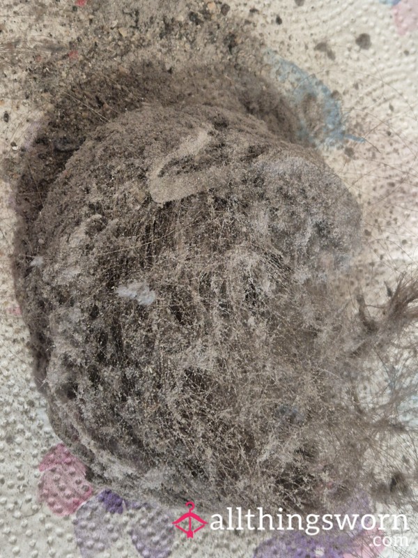 ✨️🧹Contents Of The Goddess Vacuum Cleaner 🧹✨️