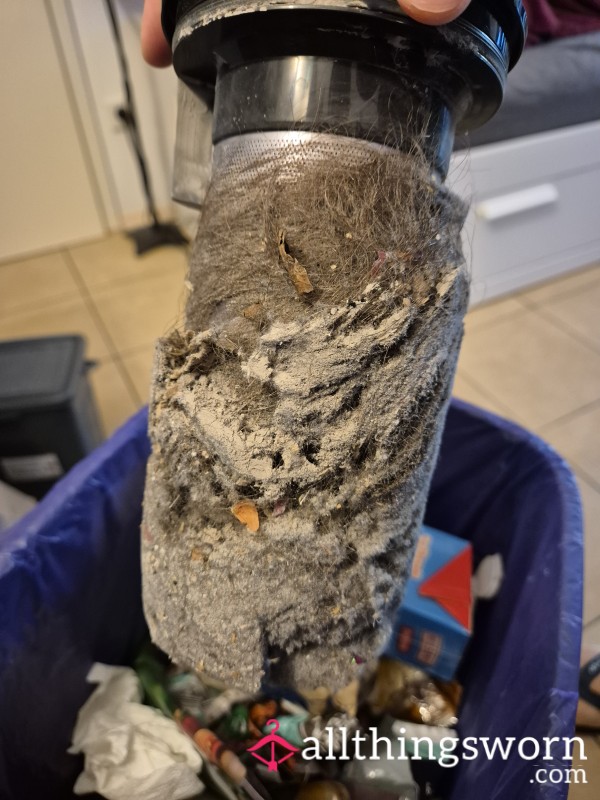 ✨️🧹Contents Of The Goddess Vacuum Cleaner 🧹✨️
