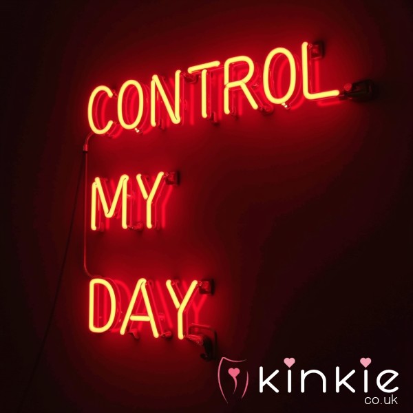 Control My Day