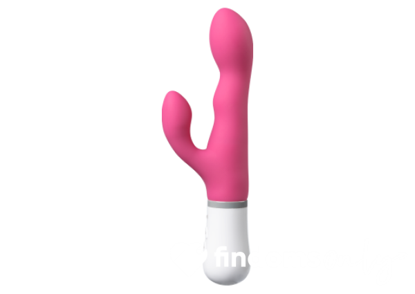 Control My Lovense Vibrator