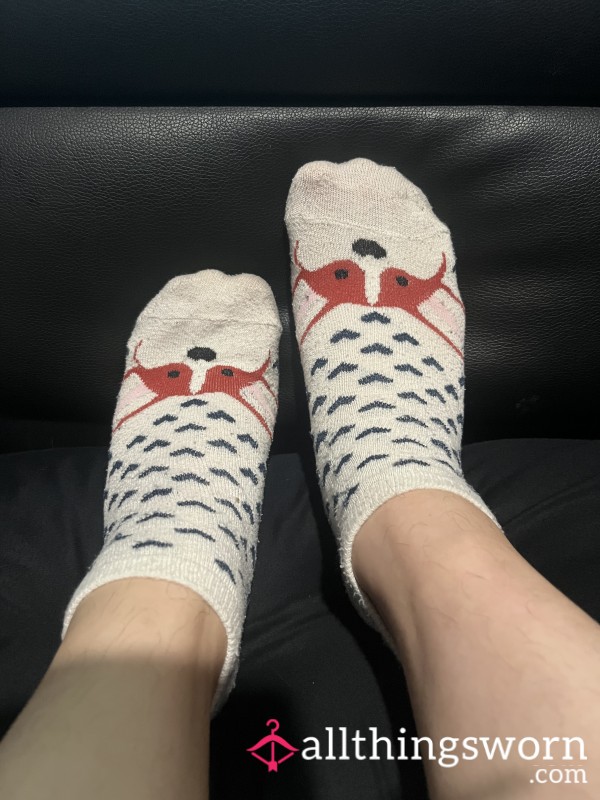 Corgi Socks!