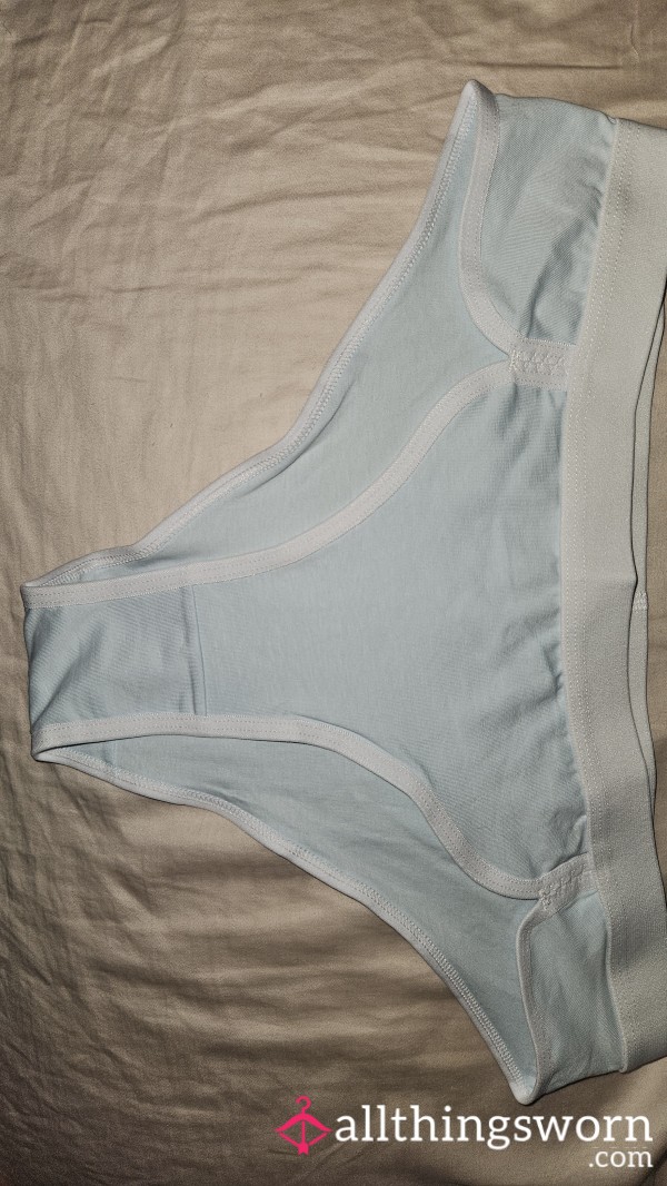 Sky Blue Cotton Bikini Brief Panty