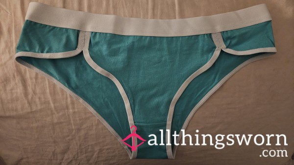 Teal Cotton Bikini Brief Panty