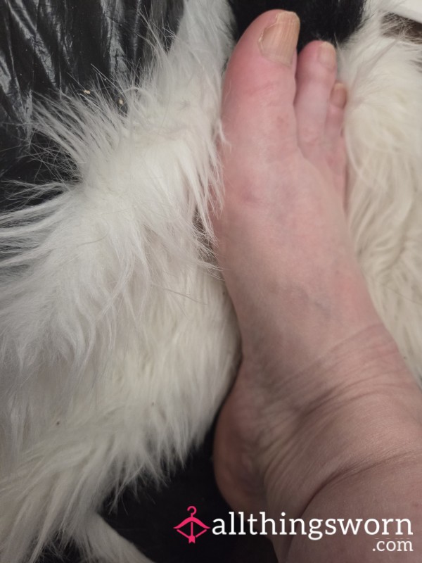 Some Feet Pics Mature