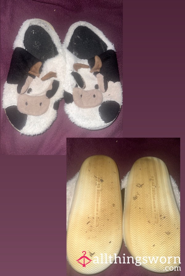 Cow Slippers