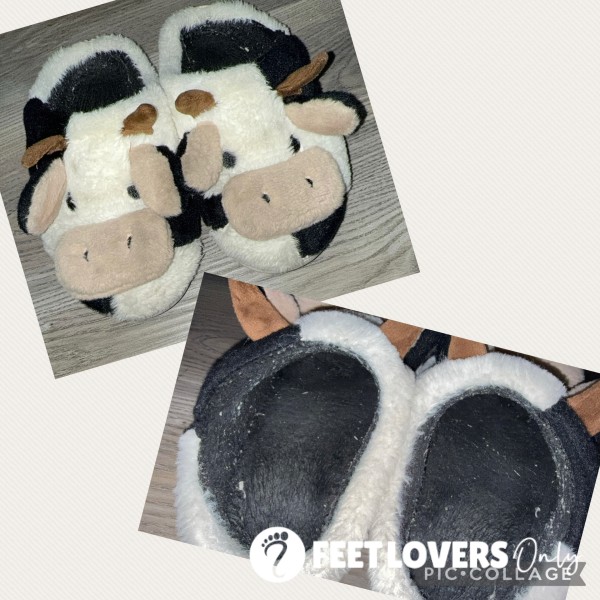 Cow Slippers