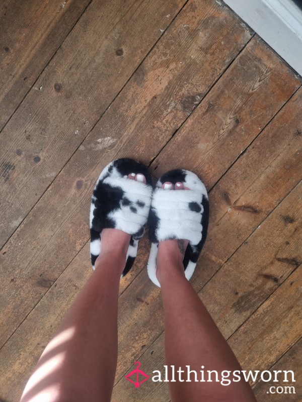 Cow Slippers