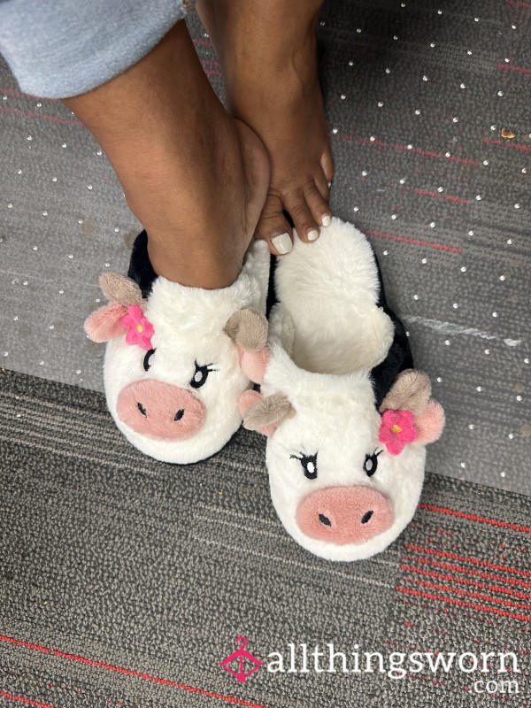 Cow Slippers For The Pigs!