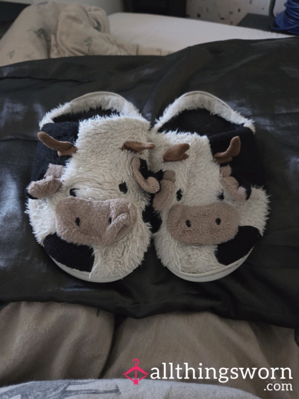 Cow Slippers Worn For A Year