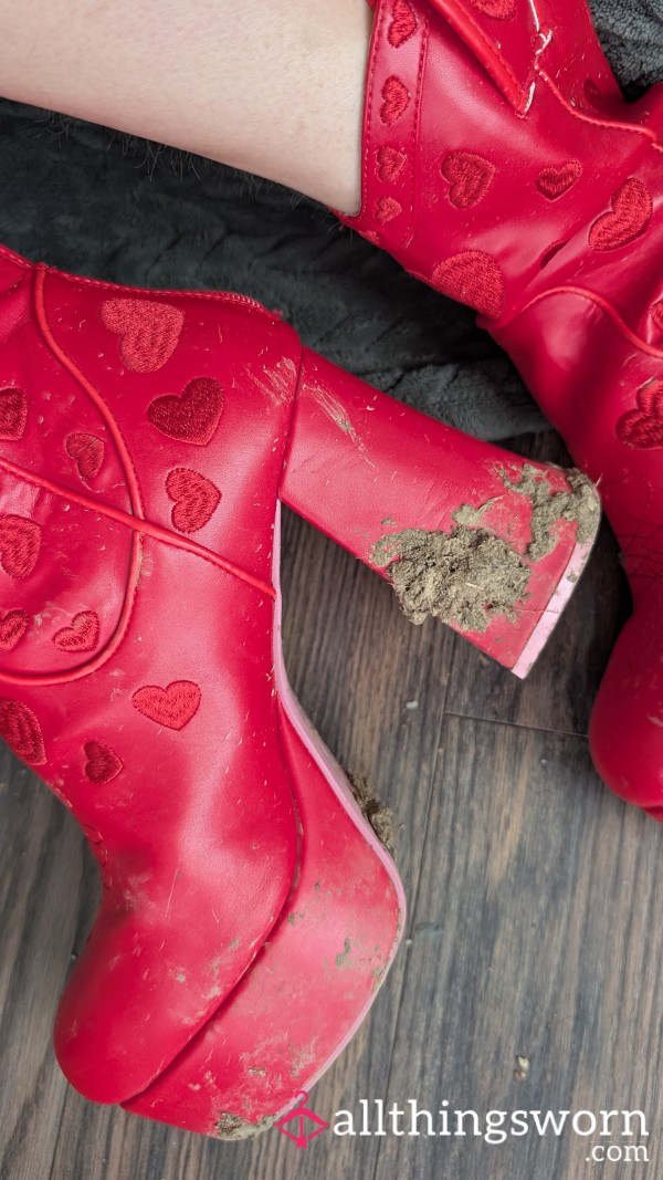 Cowgirl Boot Heels Need Cleaned 🪥 👅