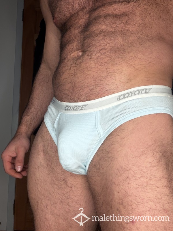 Coyote Brief