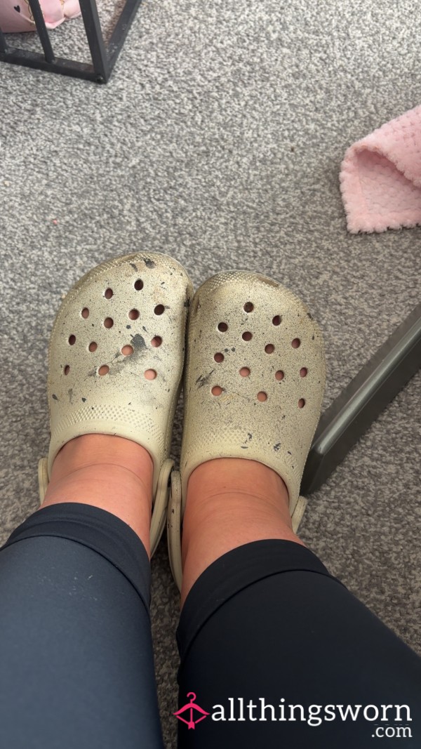 CROCS🐊