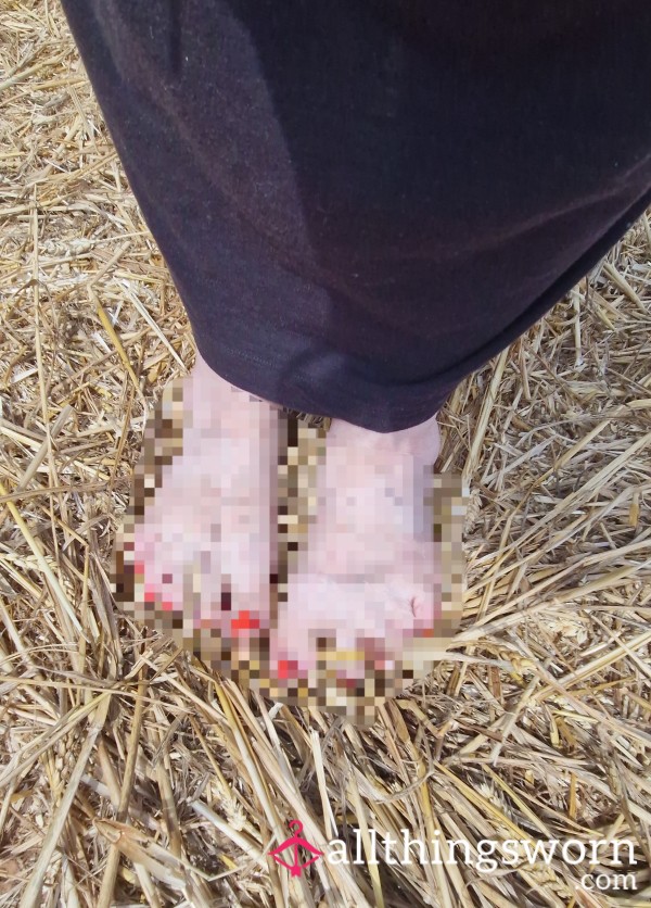 Crunchy Hay Field ASMR: Barefoot Walk On Warm Earth