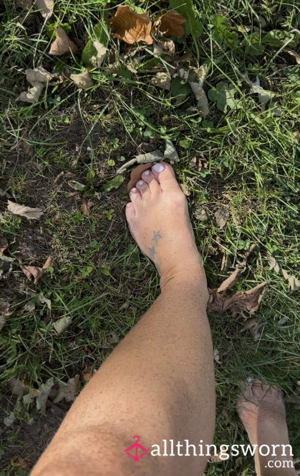 Crunchy Leaves