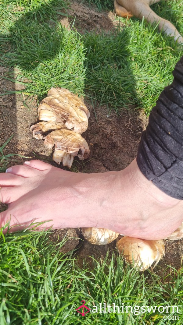 Crushing Mushrooms