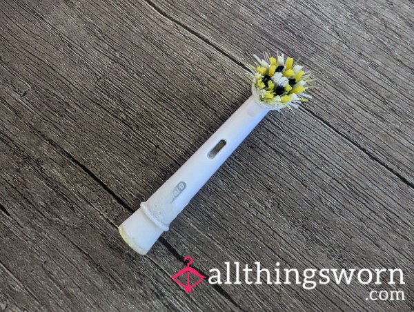 Crusty Used Tooth Brush Head