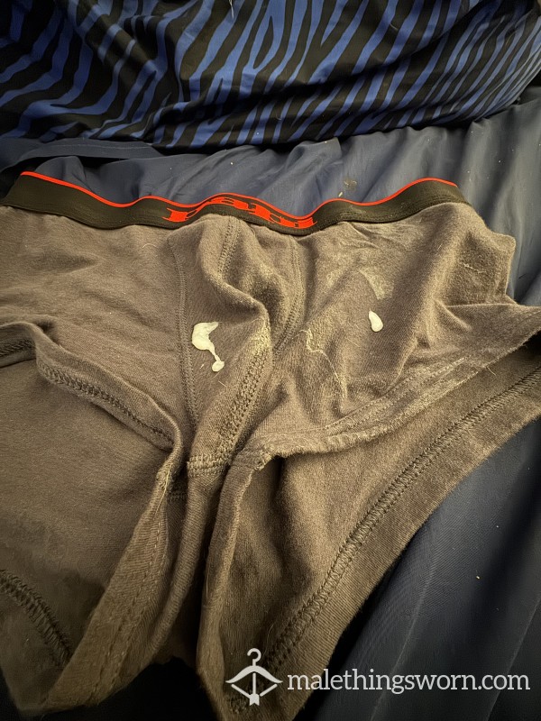 C*m Filled Grey Briefs