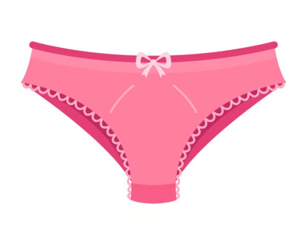 C*mmie Panty (vs Boyshorts)